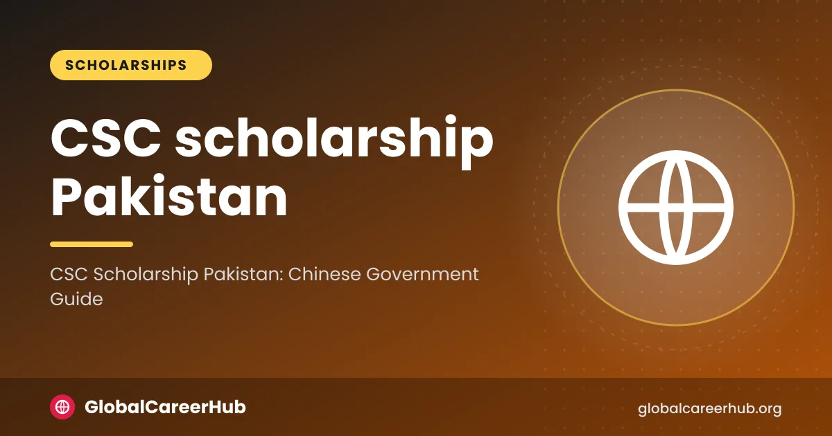 Chinese Government Scholarship Pakistan: a student reviewing CSC Type A and Type B application steps with HEC